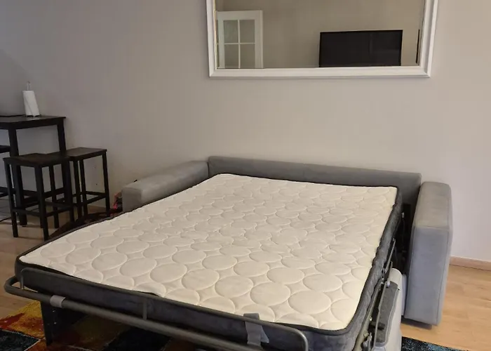 Hypercentre Albi, Rue Croix Verte Apartment